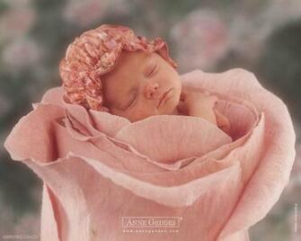 My HD Wallpaper Archive Anne Geddes Wallappers