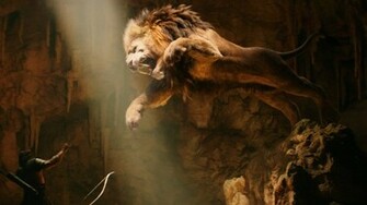 HD Lion Wallpaper 1080p Fight