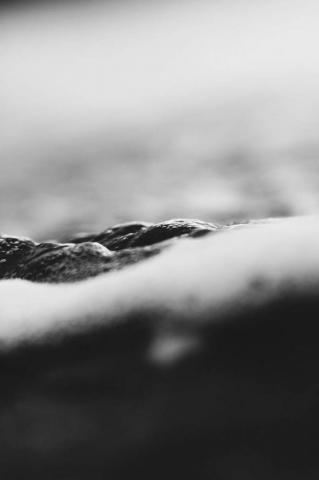 iPhone Wallpaper Black And White Macro Of Water Bubbles