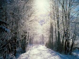 Fond Ecran Chemin Foret Enneig E Id Rubrique De L Image