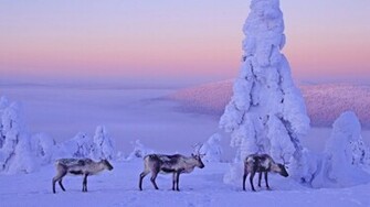 Finland Wallpaper Best