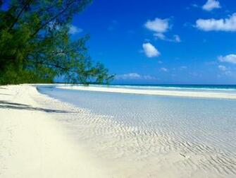 Abstract Beach Christmas Wallpaper X