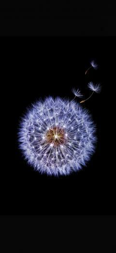 S9 Plus Black Wallpaper Galaxy Colour Abstract Digital