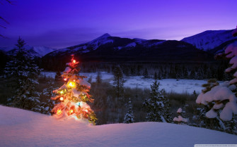 Christmas Tree With Lights Outdoors In The Mountains Ultra HD
