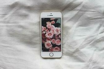 iPhone 5s Rose Gold