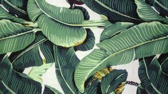 De Jungle Met Het Martinique Banana Leaf Wallpaper Van Hinson Roomed