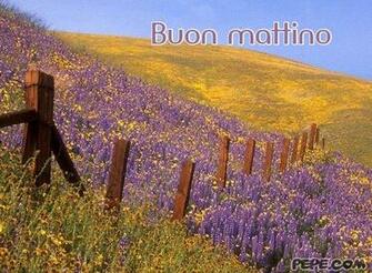 Buon Mattino Cartolina Virtuale Pepe