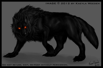 Black Anime Wolf Background Wallpaper HDblackwallpaper
