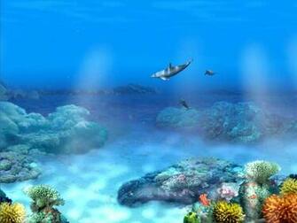 3d Dolphin Screensaver HD Walls Find Wallpaper