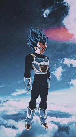 Ssgss Vegeta Anime Dragon Ball Super Manga