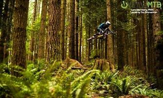 Mountain Bike Mtb Desktop Wallpaper And