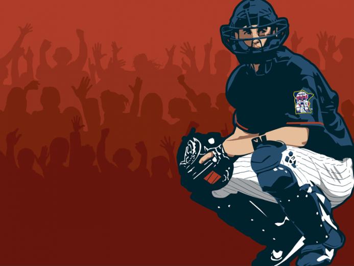 Minnesota Twins Wallpaper Border