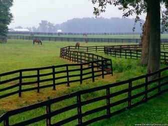 Desktop Wallpaper Animals Background Horse Farm Goshen