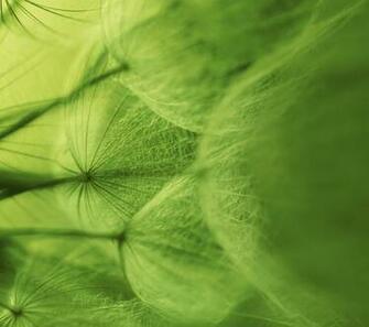 Sony Xperia Z3 Wallpaper Zum Bunt Abwechslungsreich Bild
