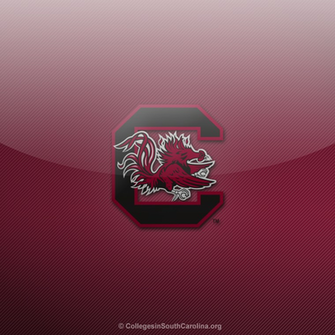 Thumbs South Carolina Gamecocks iPad Wallpaper