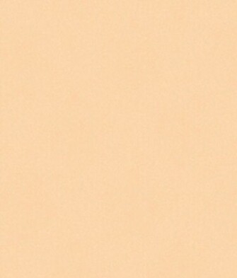 Peach Tiny Animal Print Wallpaper Wall Sticker Outlet