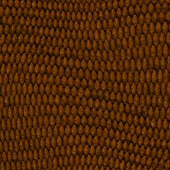 Skin Reptile Lizard Snakes Frog Snake Background