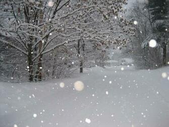 Snow Storm Full HD Wallpaper Window Top Rated