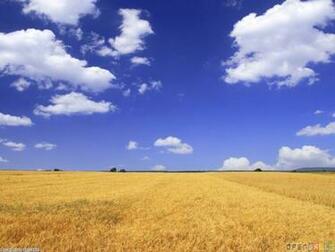 Open Field Wallpaper Pictures