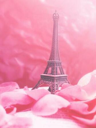 Pip Paris In Pink By Redanshy