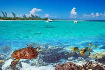 My Tropical Beach Summer Vacation Wallpaper Mystart