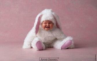 Rabbit Baby Wallpaper Pictures