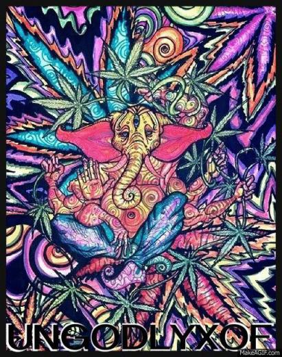 Crazy Trippy Art Love Fashion