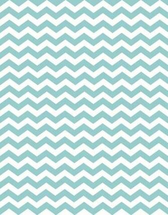 Doodlecraft Minty Chevron Bie Madness