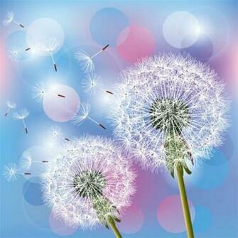 Floating Dandelion Seeds With Bubbles Background Vector