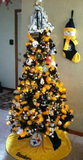 Renee Terry On Steelers Nati