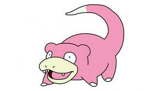 Wallpaper Slowpoke Mem Animal