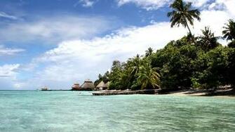 Tropical Island Wallpaper