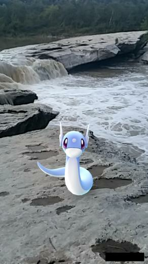 Pokemon Go Pogo Phone Wallpaper Cute Dratini Time To