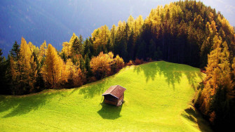 Full HD Nature Wallpaper