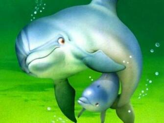 Cute Dolphin Wallpaper