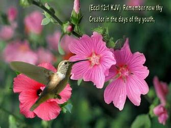 Bible Verse Greetings Card Wallpaper Background