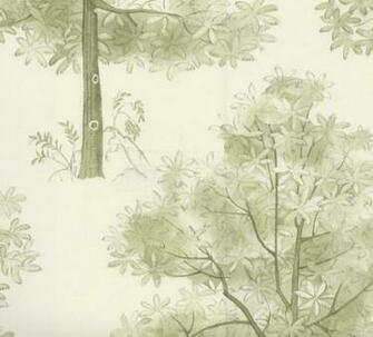 Home Brands Designers Guild Rosa Chinensis