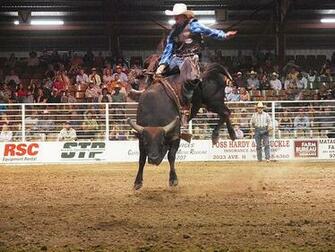 Bull Riding Wallpaper Blast Pbr Bullriding