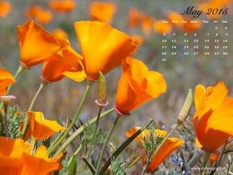Monthly Calendar Desktop Wallpaper