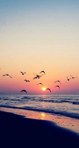 iPhone Wallpaper Summer Cool Phones Background