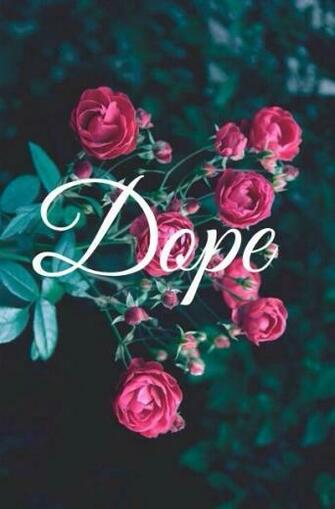 Group Of Roses Are Red Violets Blue No One Can Fill My Heart But
