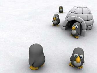 Funny Penguins Widescreen Wallpaper Wide Net