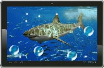All About Shark Sea Reef Live Wallpaper For Android Videos