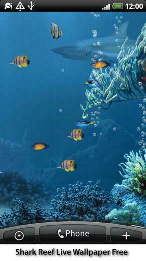 Shark Reef Live Wallpaper Android Apps On Google Play