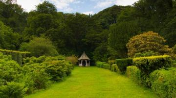 Full HD Wallpaper Natural Landscape Nature Vegetation Garden