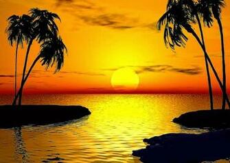 Sunset Wallpaper Dolphin