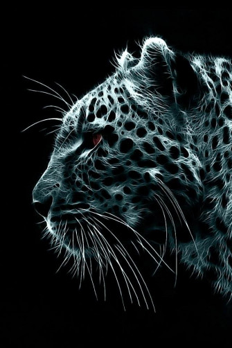 Cute Animals iPhone Wallpaper You Would Love To