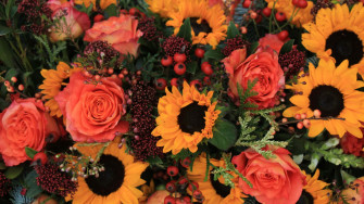 Sunflowers And Roses Yl8d35kdw5b9veqw Wallpaper