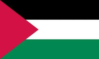 Palestine Flag Pictures
