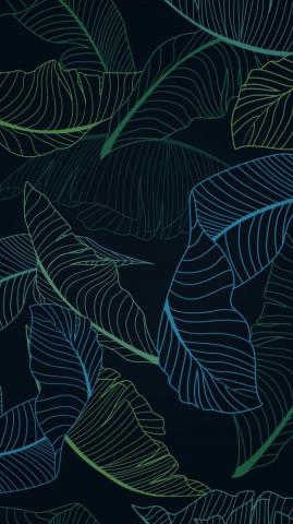 A Slightly Edited Vellum Wallpaper Mobilewallpaper
